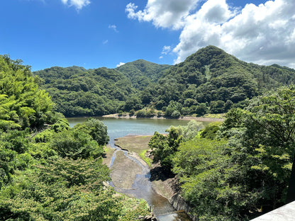 14-Day Personalized Japan Travel Plan