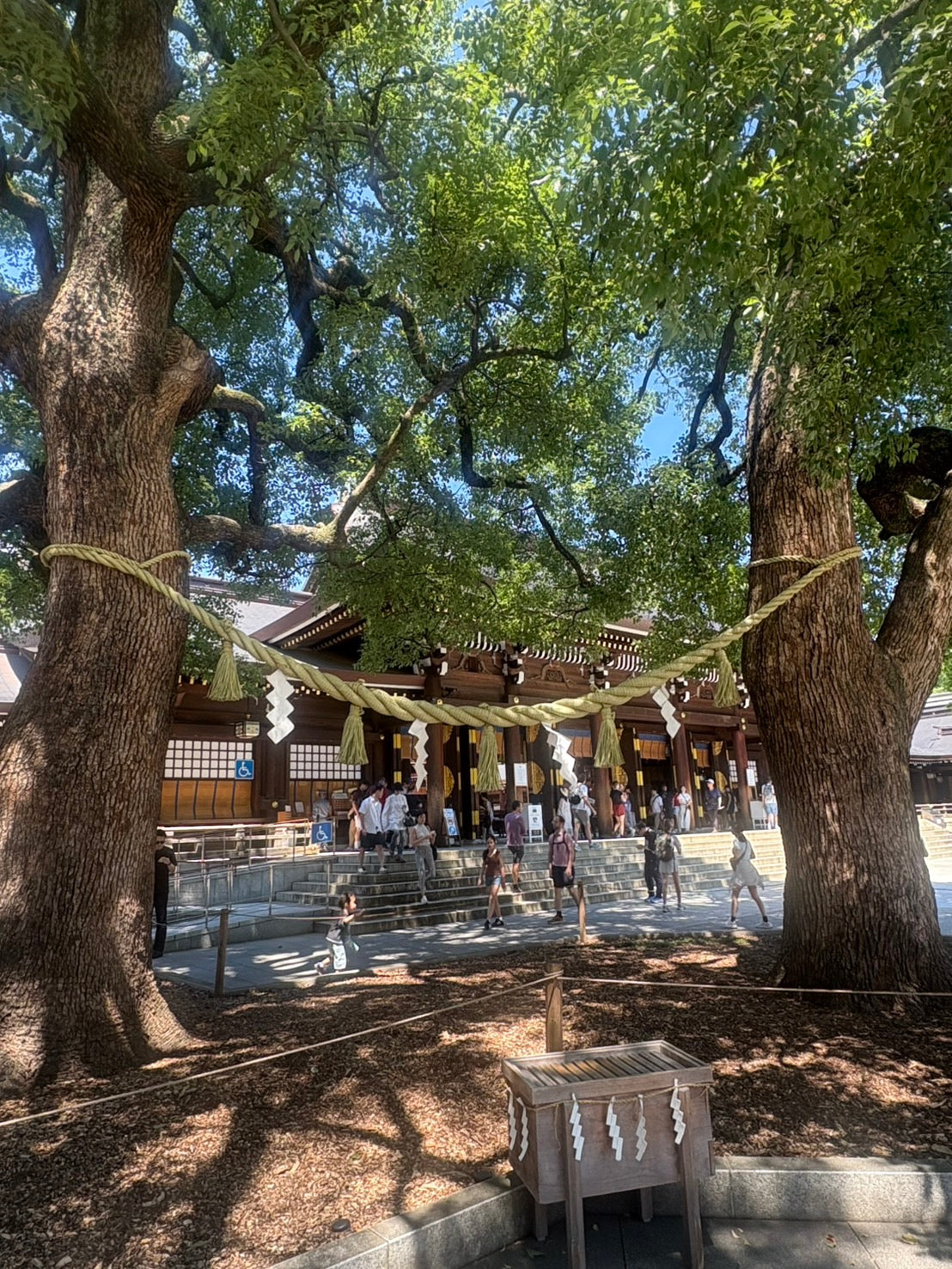 14-Day Personalized Japan Travel Plan