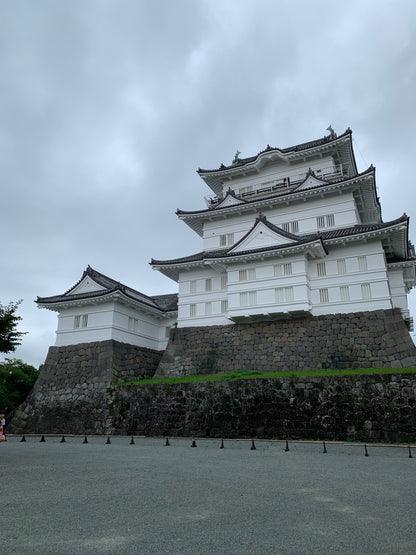 14-Day Personalized Japan Travel Plan