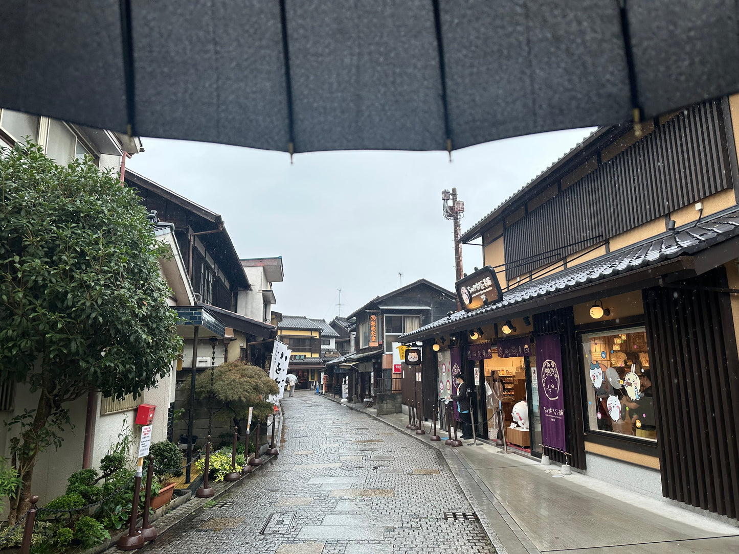 3-Day Personalized Japan Travel Plan